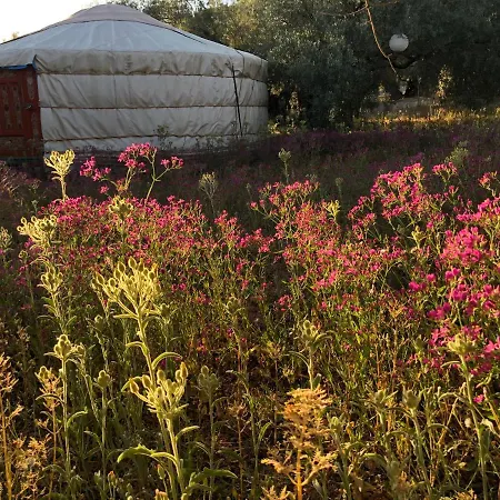 Valle De Oro Villanueva De Algaidas